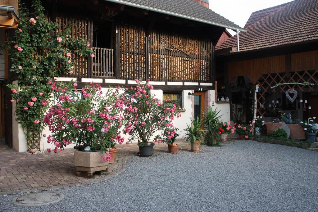 Ferienwohnung Fam. Hoehn Kappel-Grafenhausen Dış mekan fotoğraf