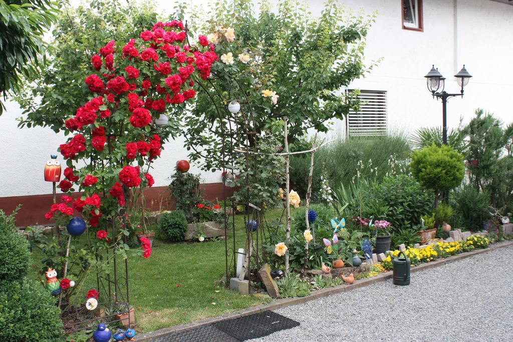 Ferienwohnung Fam. Hoehn Kappel-Grafenhausen Dış mekan fotoğraf